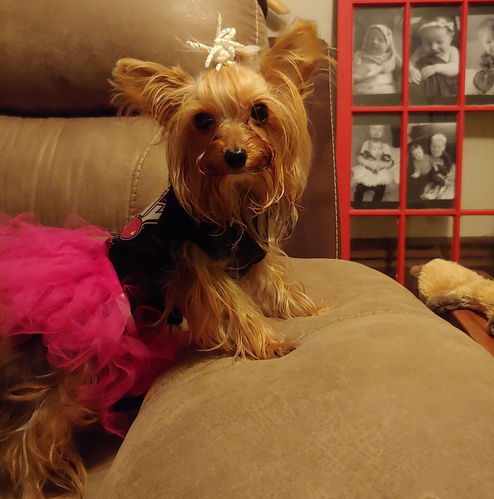 Meet your Posher, Laurie